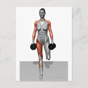 Dumbbell Single Leg Deadlift 4 Postcard