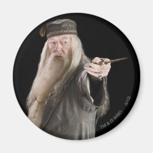 Dumbledore Magnet