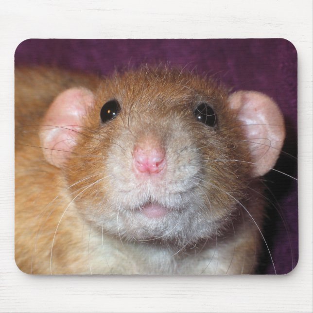 Dumbo Rat Mousepad (Front)
