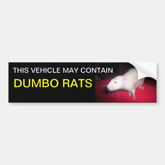 Dumbo rats bumper sticker (Front)