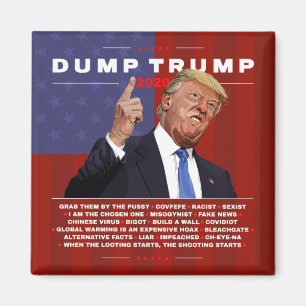 Dump Trump 2020 illustration Magnet