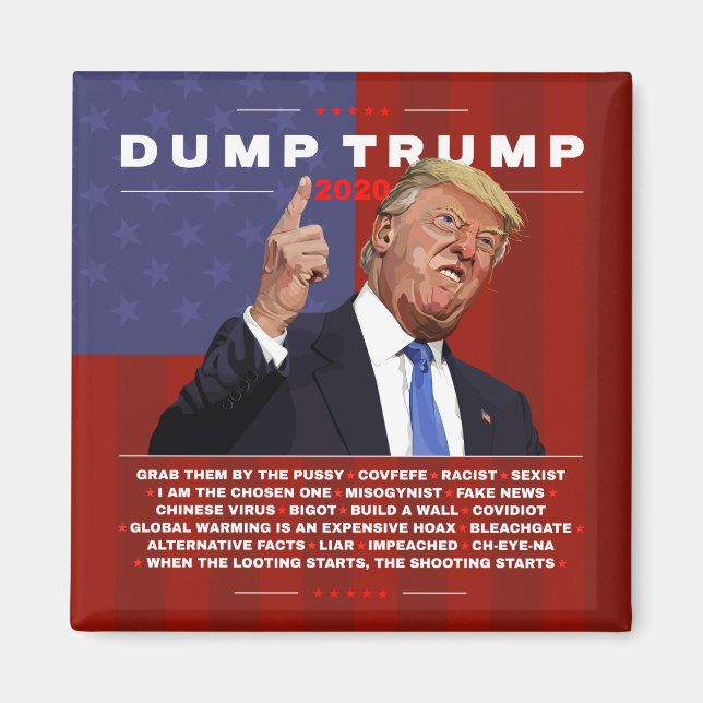 Dump Trump 2020 illustration Magnet (Front)