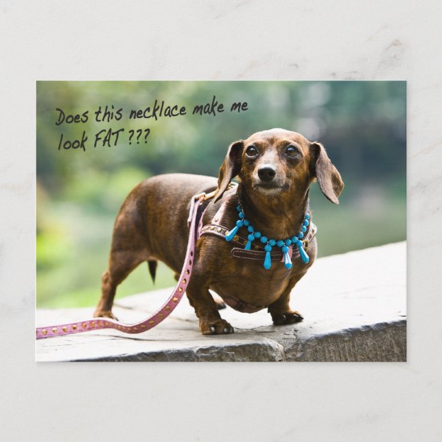 Dumpling Shows of Her Gems Postcard (Front)