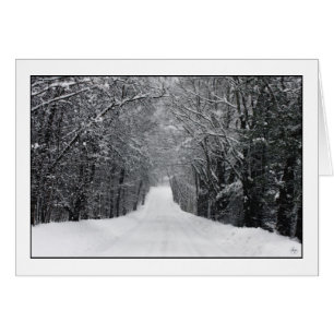 Dumprun Snowstorm