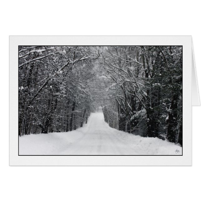 Dumprun Snowstorm (Front Horizontal)