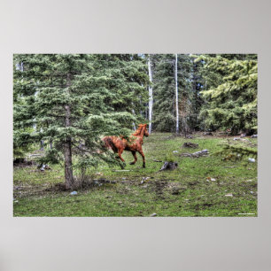 Dun Ranch Horse Cantering in Forest Equine Photo Poster