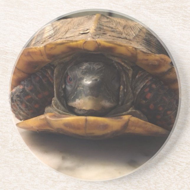 duncan coaster (Front)