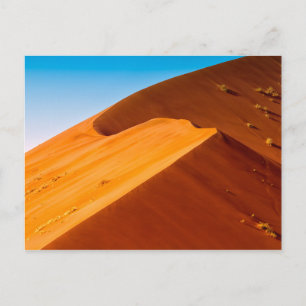 Dune 45 postcard