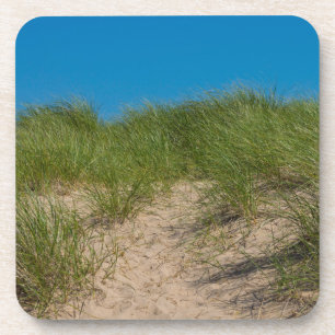 Dune And Oats Coaster