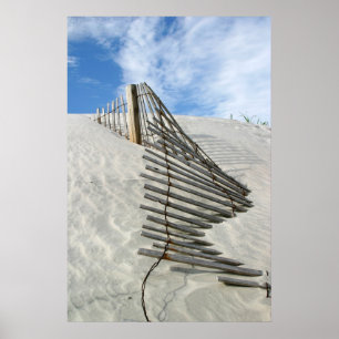 Dune Fence Poster