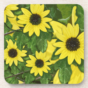 Dune Sunflower Coasters