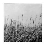 Dune Triptych III Ceramic Tile<br><div class="desc">Home Décor</div>