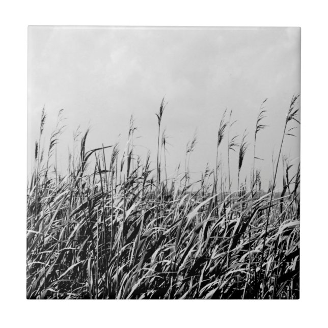 Dune Triptych III Ceramic Tile (Front)