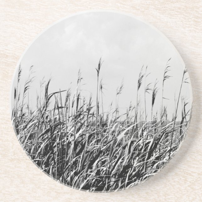 Dune Triptych III Coaster (Front)