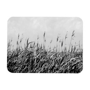 Dune Triptych III Magnet