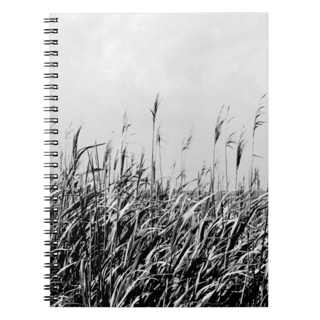 Dune Triptych III Notebook (Front)