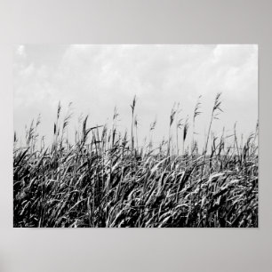 Dune Triptych III Poster