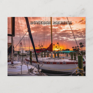 Dunedin Marina  Sunset Florida Postcard
