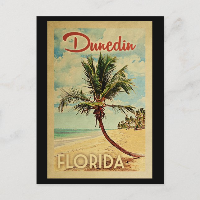 Dunedin Palm Tree Vintage Travel Postcard (Front)
