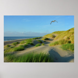 Dünen an der Nordsee Poster