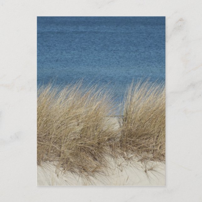 dünen postcard (Front)