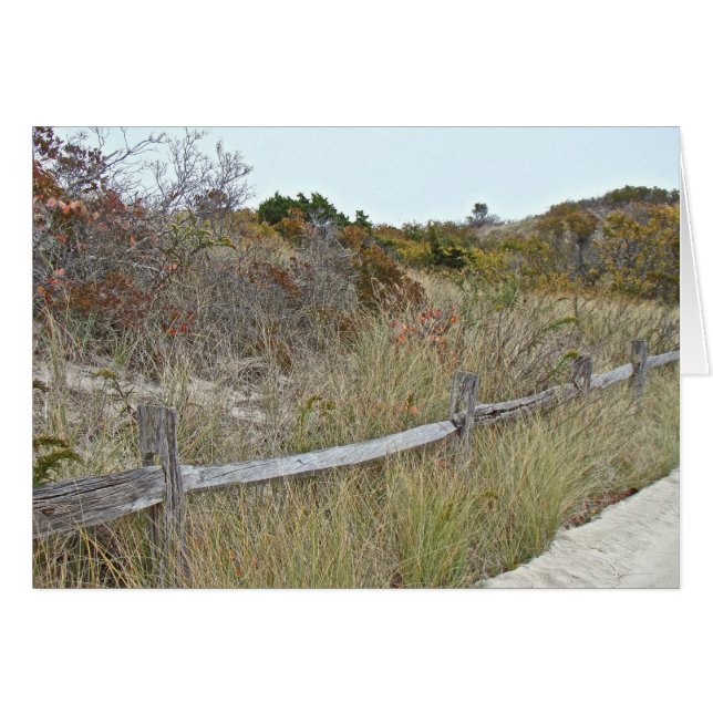 Dunes and Fence Island Beach State Park (Front Horizontal)