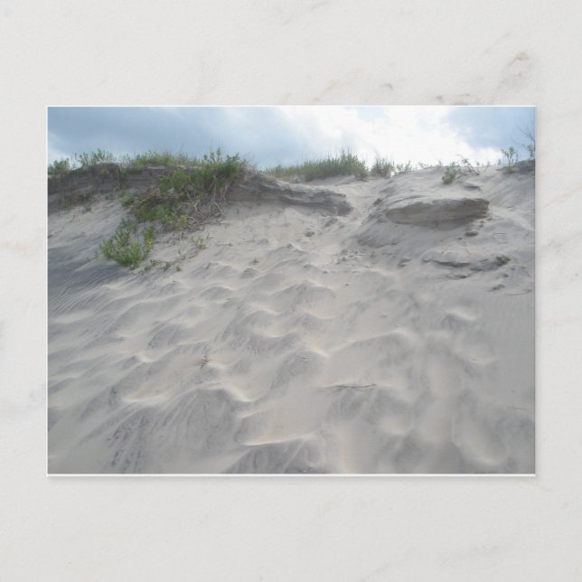 Dunes at Oregon Inlet Postcard (Front)