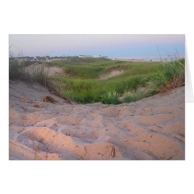 Dunes in Montauk (Front Horizontal)