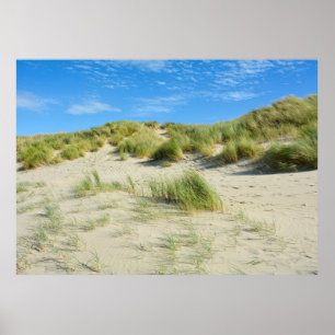 Dunes Magic   -     - Acrylic Print