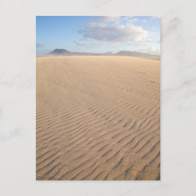 Dunes of Corralejo, Fuerteventura, Canary islands Postcard (Front)