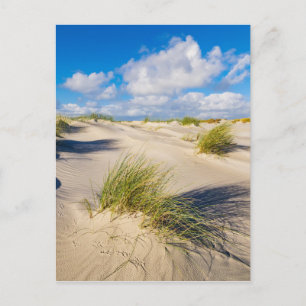 Dunes on the North Sea island Amrum Postcard