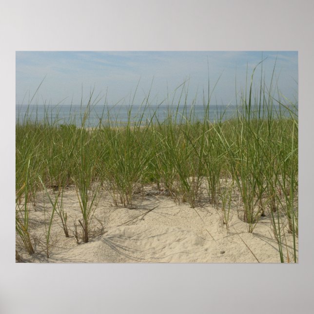 Dunes Poster (Front)