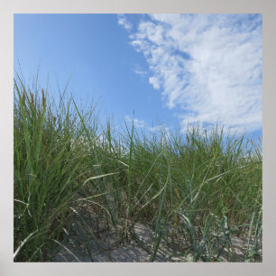 dunes,sand poster