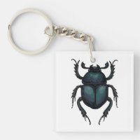 Dung beetle