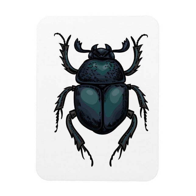 Dung beetle magnet (Vertical)