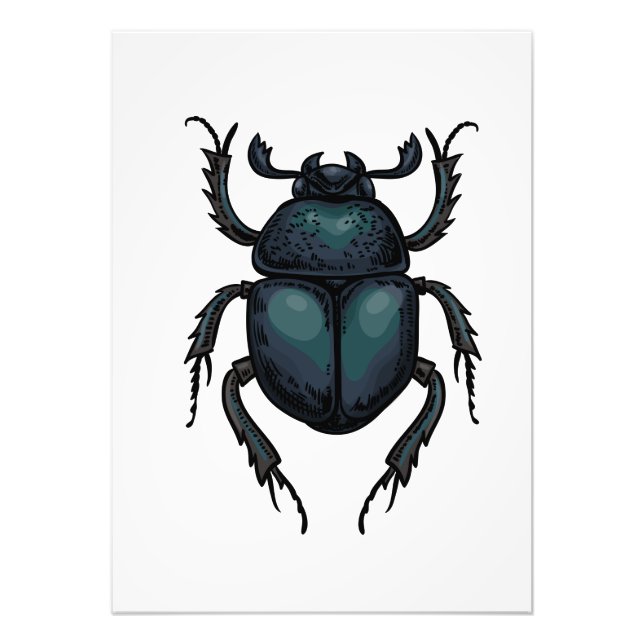 Dung beetle photo print (Front)