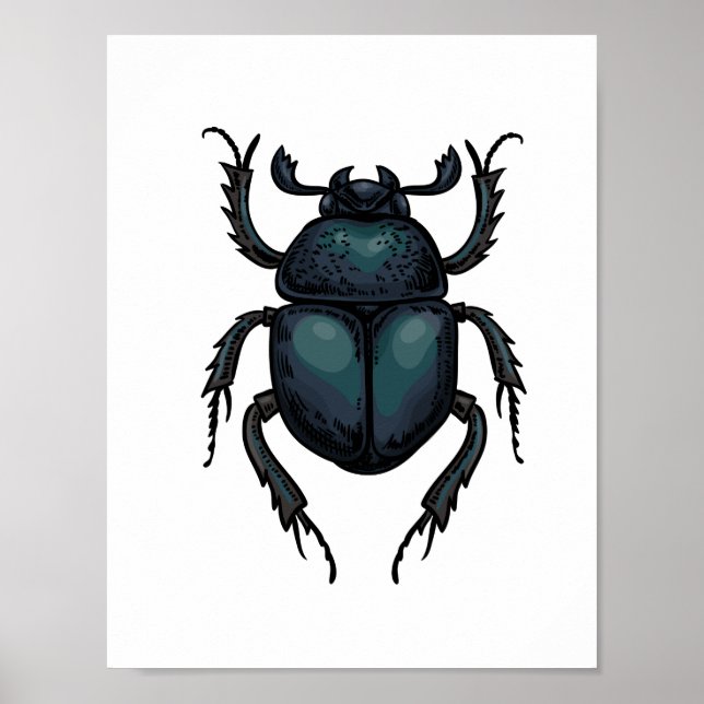 Dung beetle poster (Front)