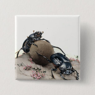 Dung Bettle 15 Cm Square Badge