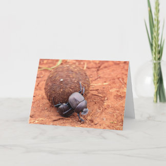 Dung happens holiday card