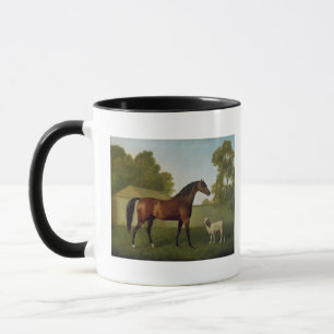 Dungannon, the property of Colonel O'Kelly Mug