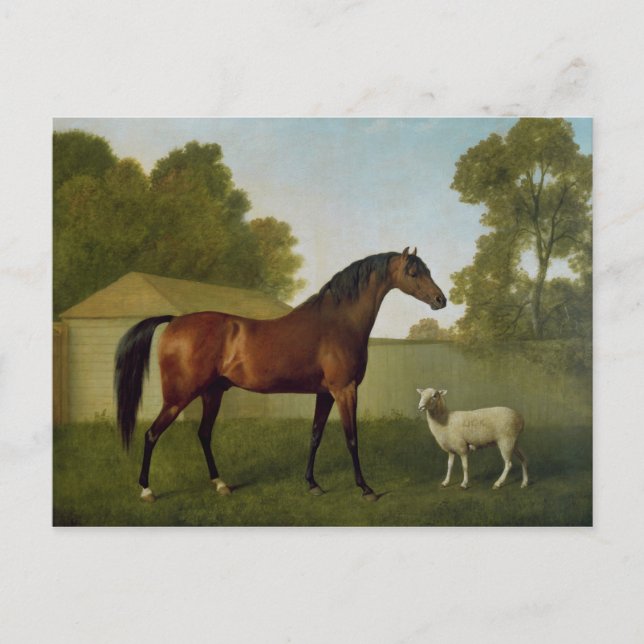 Dungannon, the property of Colonel O'Kelly Postcard (Front)