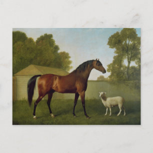 Dungannon, the property of Colonel O'Kelly Postcard