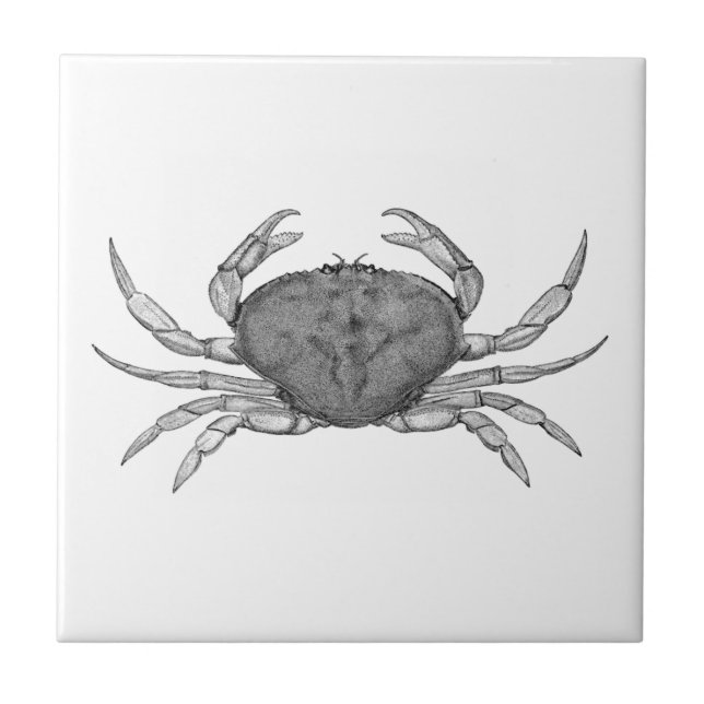 Dungeness Crab Logo (line art) Ceramic Tile (Front)
