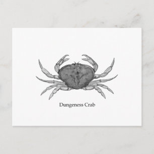 Dungeness Crab Logo (line art) Postcard