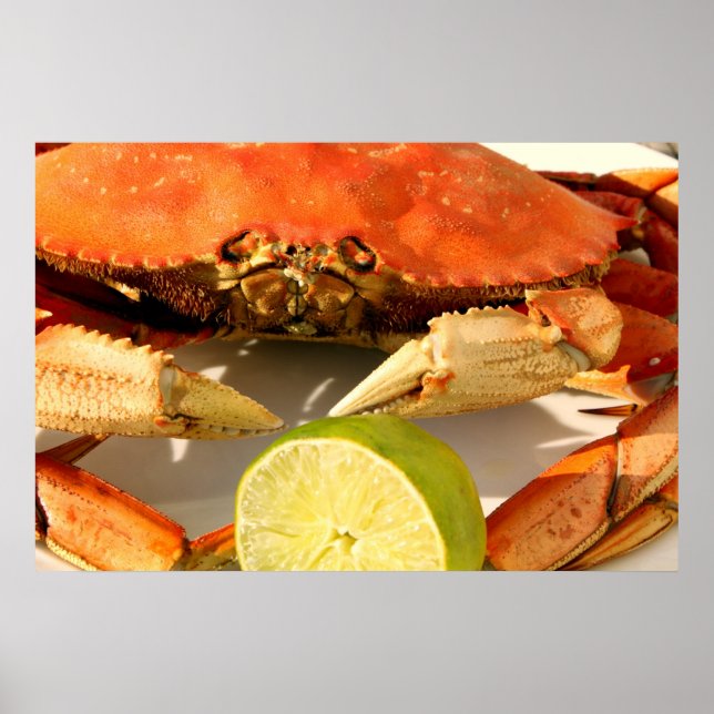 Dungeness Crab Poster (Front)