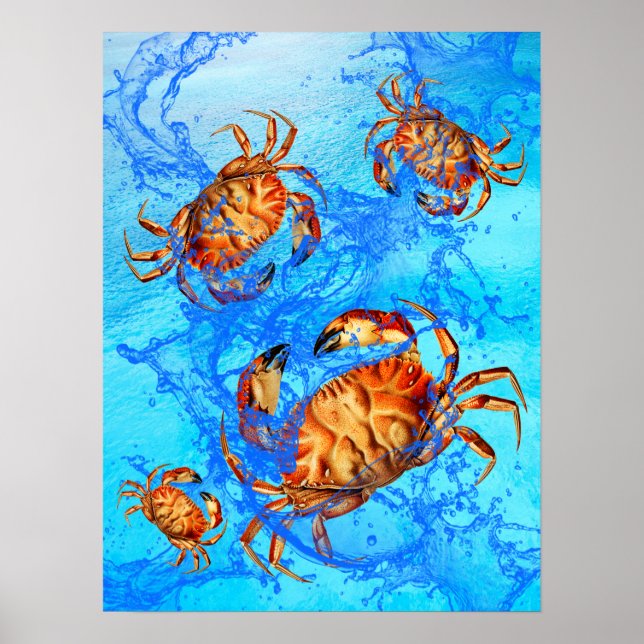 Dungeness Crabs  Poster (Front)