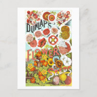 Dunlap Flower Seeds Vintage Advertisement