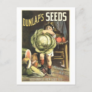 Dunlap's Vintage Vegetable Seed Advertisement Postcard