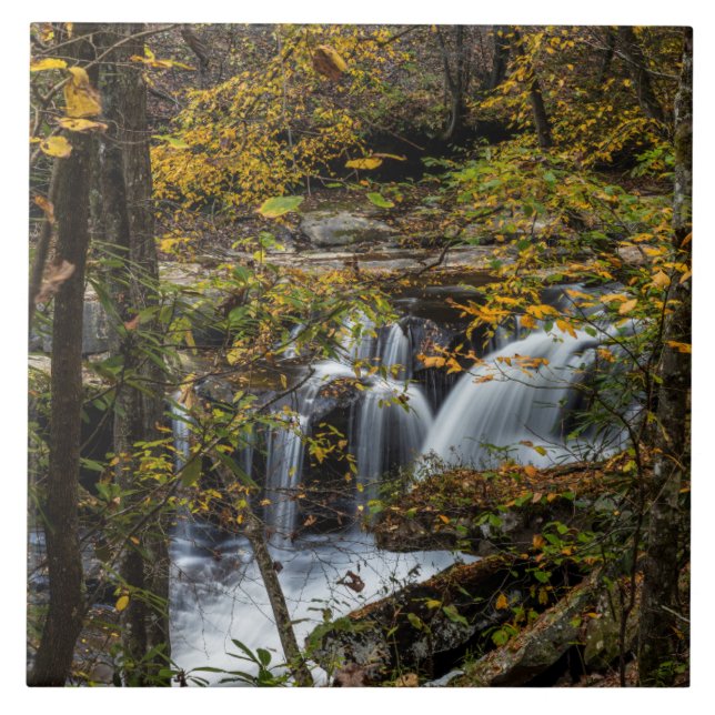 Dunloup Creek Falls | West Virginia Ceramic Tile (Front)