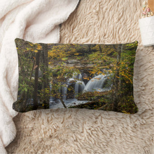 Dunloup Creek Falls   West Virginia Lumbar Cushion